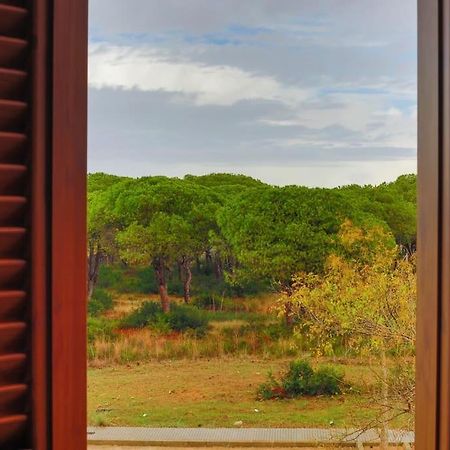 Precioso Apartamento A 700 M Del Mar Chiclana de la Frontera Luaran gambar